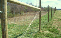Deer Fence picture
