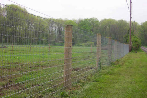 Woven Wire picture